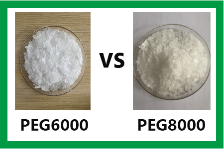 PEG6000与PEG8000间的区别？聚乙二醇的秘密你知道吗？